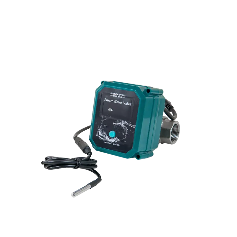 FrankEver Smart water valve DN25 – EAN 3800238070670