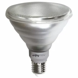 LED Par38 DIM | 12W(>75W)E27 | Green | 420lm | {enjoysimplicity}™