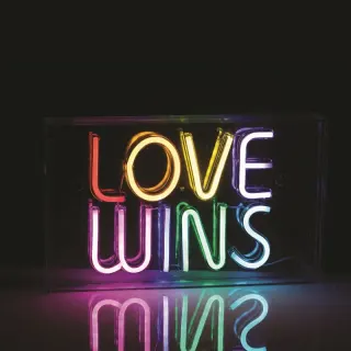LOVE WINS 120 NEON LED ΛΑΜΠ USB ΚΑΛ 2m ΠΟΛΥΧΡΩΜΑ IP20 31*4,6*19cm 2m ΚΑΛ