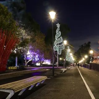 ΕΠΙΣΤΗΛΟ ΔΙΑΚΟΣΜΗΤΙΚΟ ΧΡΙΣΤΟΥΓΕΝΝΙΑΤΙΚΟ ΔΕΝΤΡΟ 270 LED ΨΥΧΡΟ ΛΕΥΚΟ ΜΟΝΟΚΑΝΑΛΟ 7.5m & 200 LED ΛΑΜΠΑΚΙΑ ΠΡΑΣΙΝΑ ΣΤΑΘΕΡΑ ΜΕ 1.5m ΚΑΛΩΔΙΟ IP65 750x2000mm