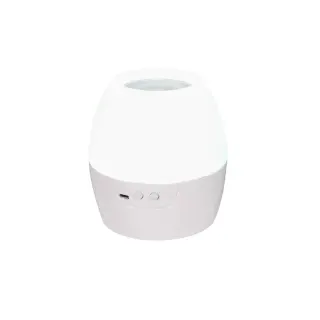 2 IN 1 8W LED NIGHT LIGHT & PROJECTOR WITH 4 PATTERNS AND 1M USB CABLE OR 3XAA