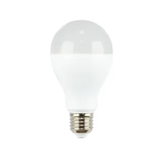 LED SMD A67 19W 6500K 150° 198-250V AC 2452LM RA80 1xE27 2YEARS ΓΑΛΑΚΤΕΡΟ 68x128mm
