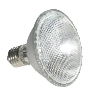 Halogen PAR38 80W Massive